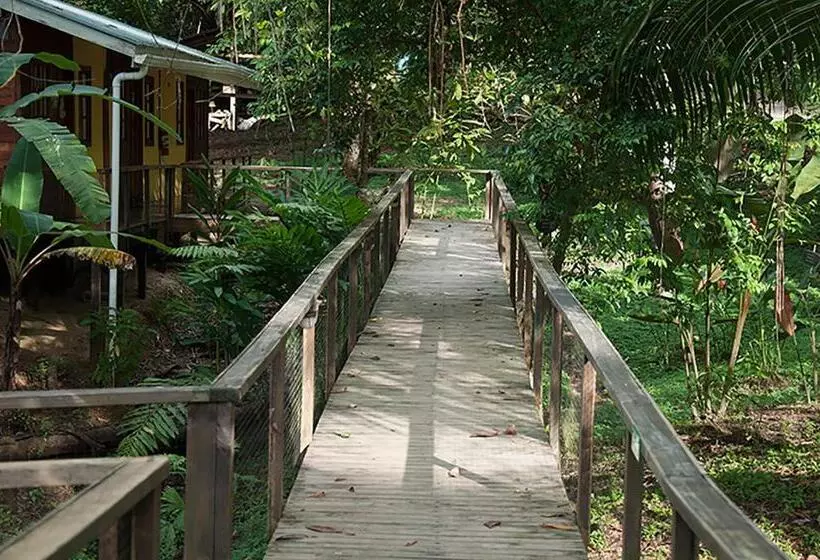 اتاق لوکس, Pirate Cove