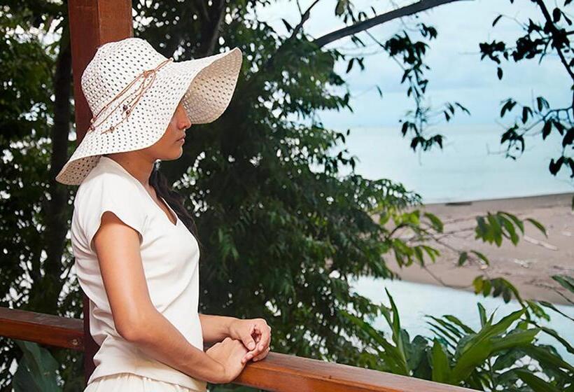 بانگلوی استاندارد, Pirate Cove