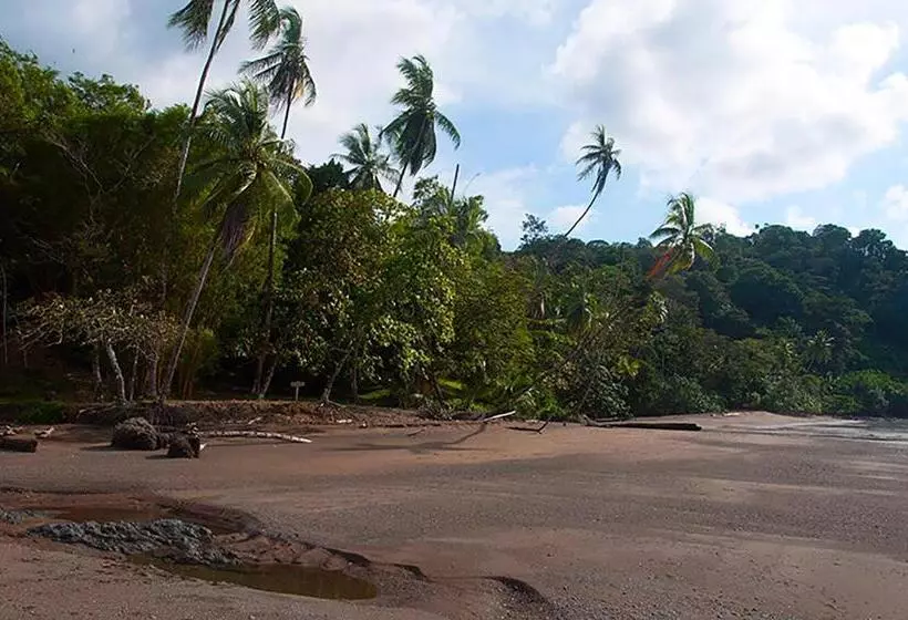 بانگلوی استاندارد, Pirate Cove