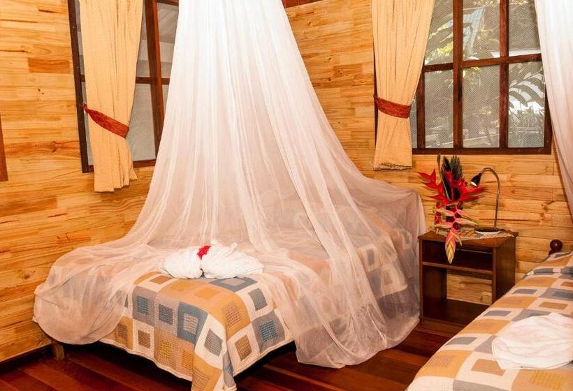 بانگلوی استاندارد, Pirate Cove