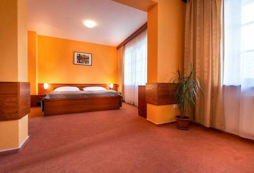 スタンダードルーム, Skanzen