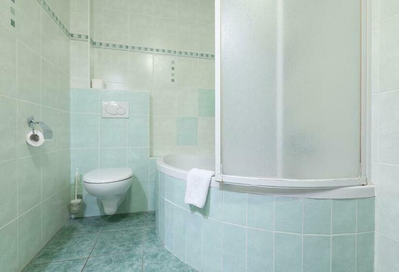 スタンダードルーム, Skanzen