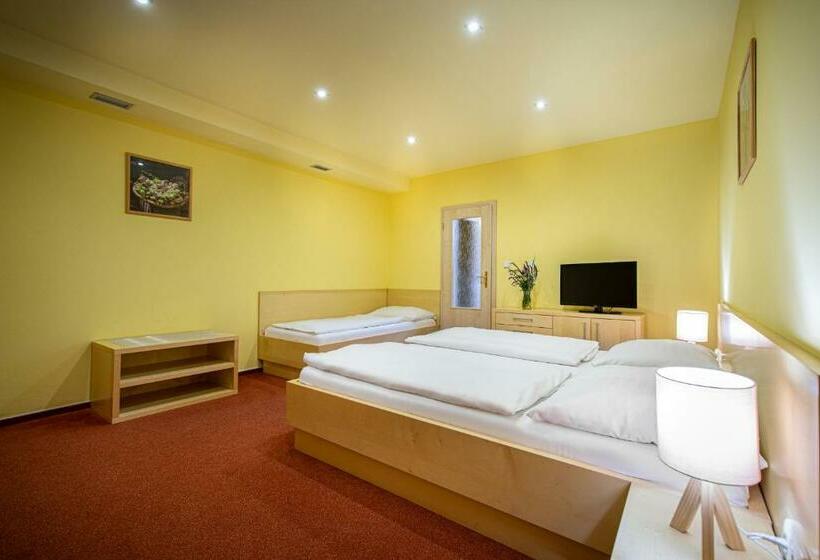 スタンダードトリプルルーム, Skanzen