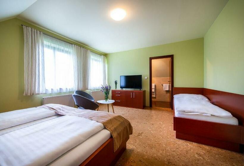 スタンダードトリプルルーム, Skanzen