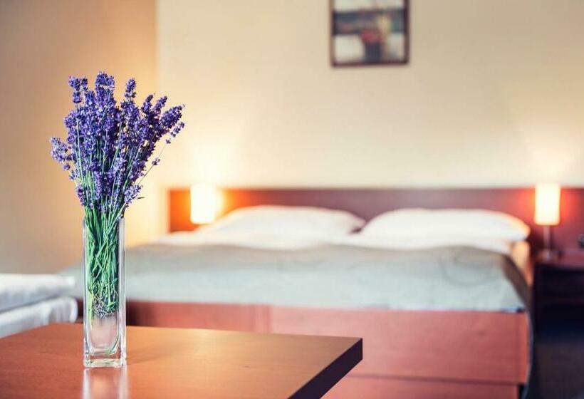 スタンダードトリプルルーム, Skanzen