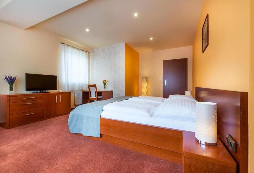 スタンダード4人部屋, Skanzen