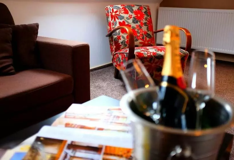اتاق استاندارد سه نفره, Wine & Wellness Hotel Besední Dům