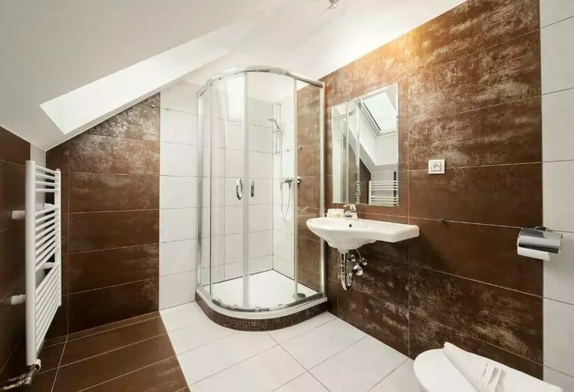 اتاق استاندارد, Wine & Wellness Hotel Besední Dům