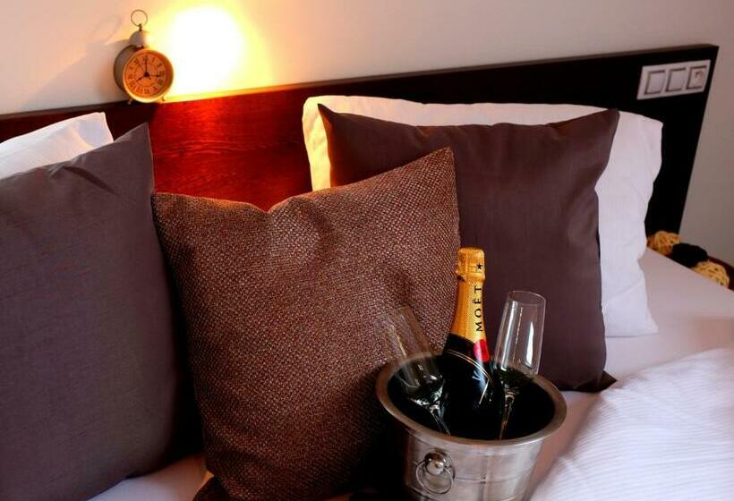 غرفة قياسية, Wine & Wellness Hotel Besední Dům