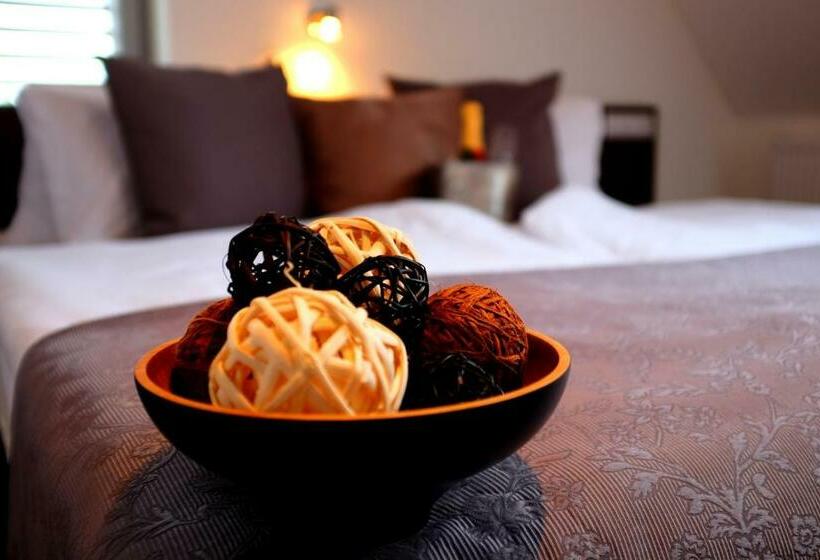 غرفة قياسية, Wine & Wellness Hotel Besední Dům