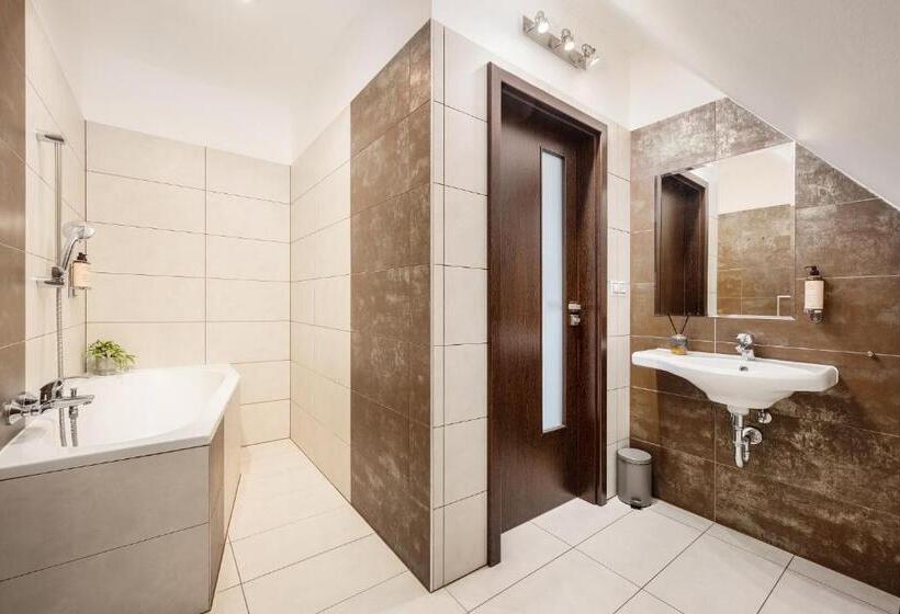 غرفة قياسية, Wine & Wellness Hotel Besední Dům