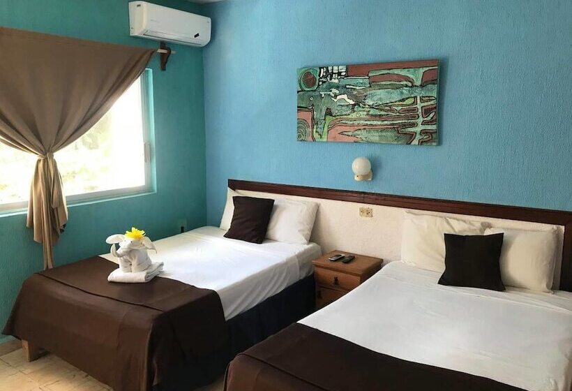 اتاق کلاسیک با تخت دوبل, Agave Azul Grand Cozumel, Hotel And Diving