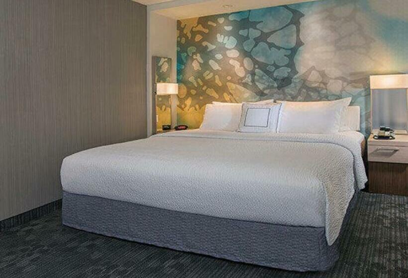 스탠다드 룸 킹사이즈 침대, Courtyard By Marriott Denver North/westminster