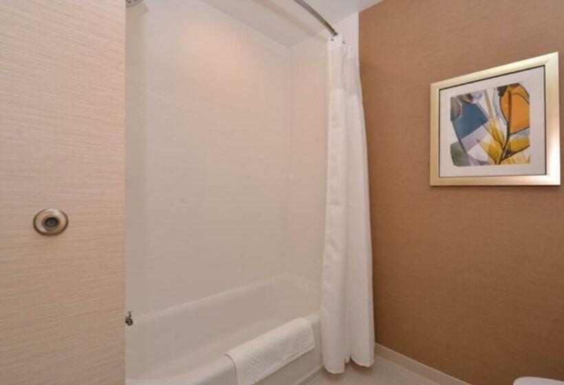 Стандартный Номер Кровать Кинг, Fairfield Inn & Suites By Marriott Fremont