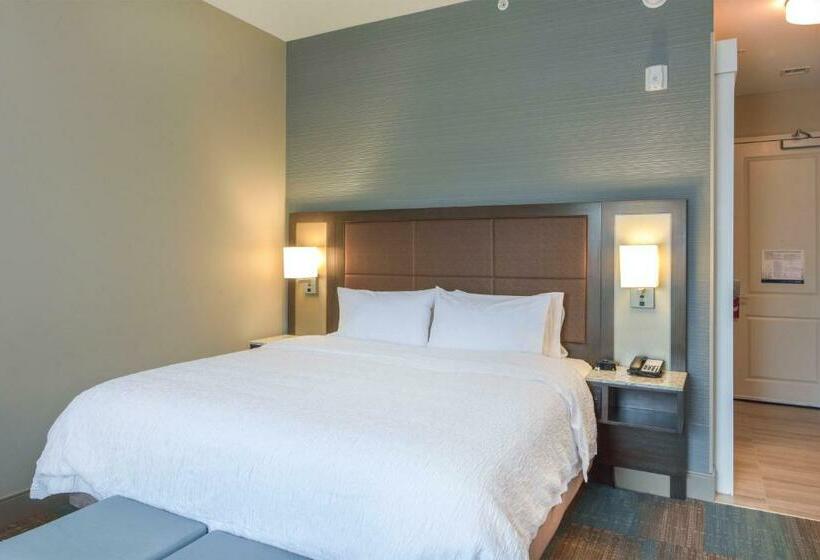 غرفة قياسية سرير كينج لذوى الإحتياجات الخاصة, Hampton Inn Lumberton
