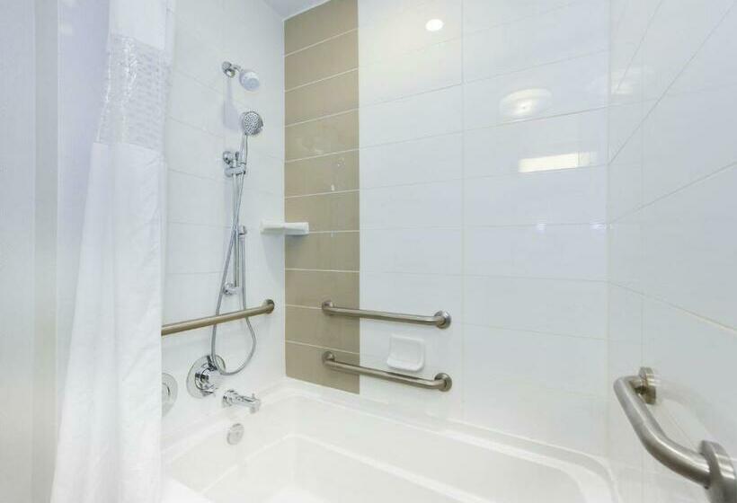 غرفة قياسية سرير كينج لذوى الإحتياجات الخاصة, Hampton Inn Lumberton