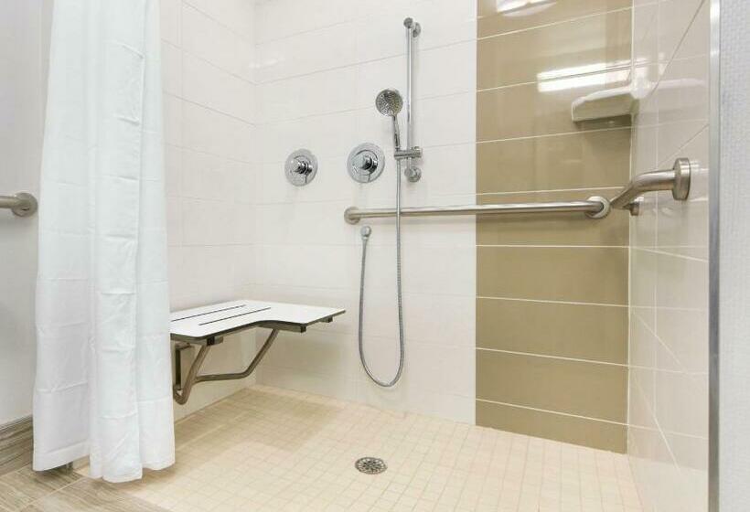 غرفة قياسية سرير كينج لذوى الإحتياجات الخاصة, Hampton Inn Lumberton