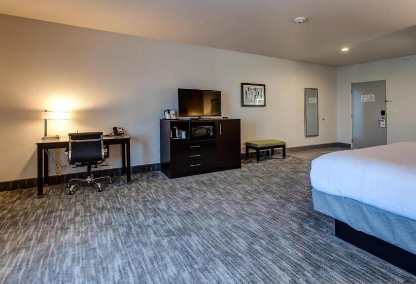 エクゼクティブスイート, Holiday Inn Express & Suites Gatesville   N. Ft Hood, An Ihg