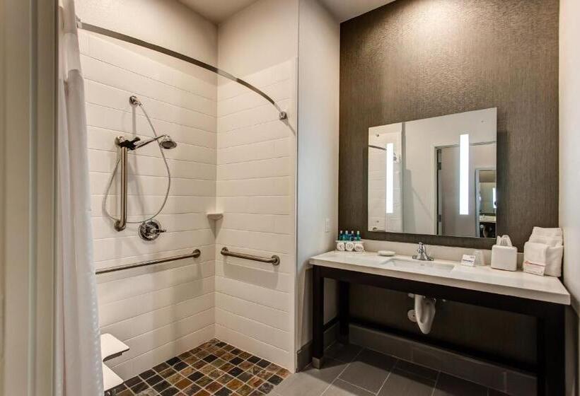 Номер Стандарт Адаптированный для Инвалидов, Holiday Inn Express & Suites Gatesville   N. Ft Hood, An Ihg