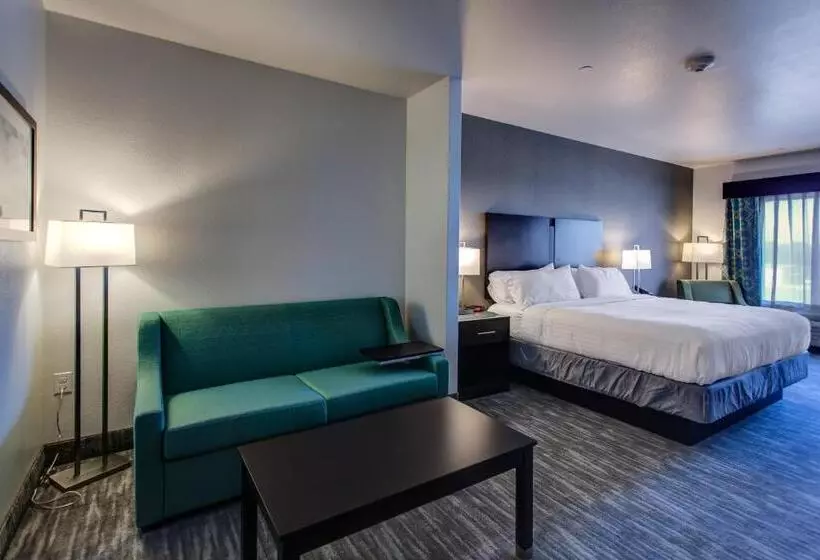 身障者適用スイートルーム, Holiday Inn Express & Suites Gatesville   N. Ft Hood, An Ihg