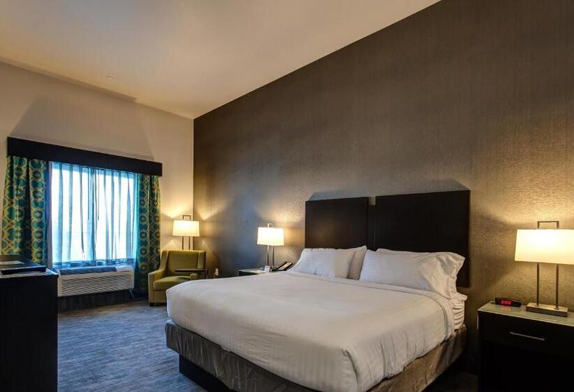 身障者適用キングサイズベッドルーム, Holiday Inn Express & Suites Gatesville   N. Ft Hood, An Ihg