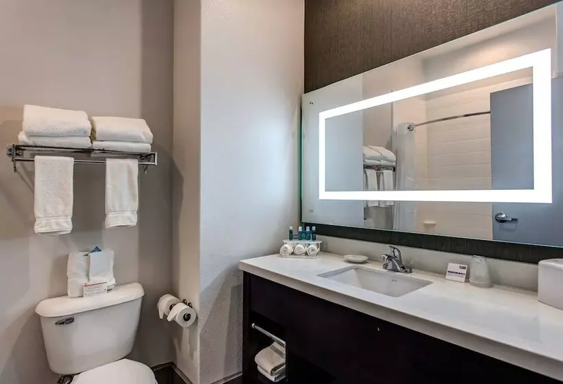 スイート, Holiday Inn Express & Suites Gatesville   N. Ft Hood, An Ihg