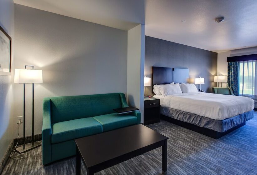 身障者適用スイートルーム, Holiday Inn Express & Suites Gatesville   N. Ft Hood, An Ihg