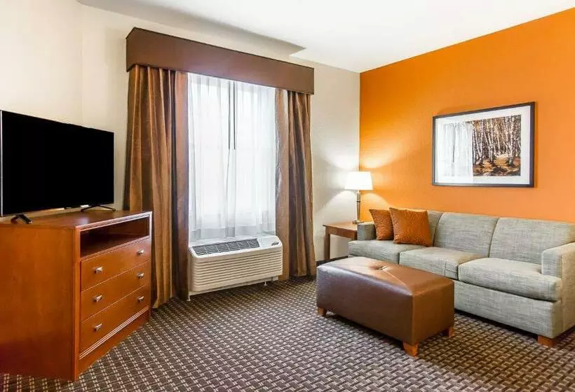スイート（家族用）, Mainstay Suites Stanley