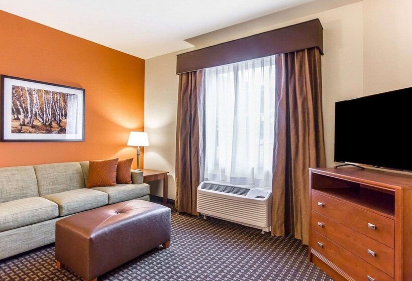 스탠다드 룸, Mainstay Suites Stanley