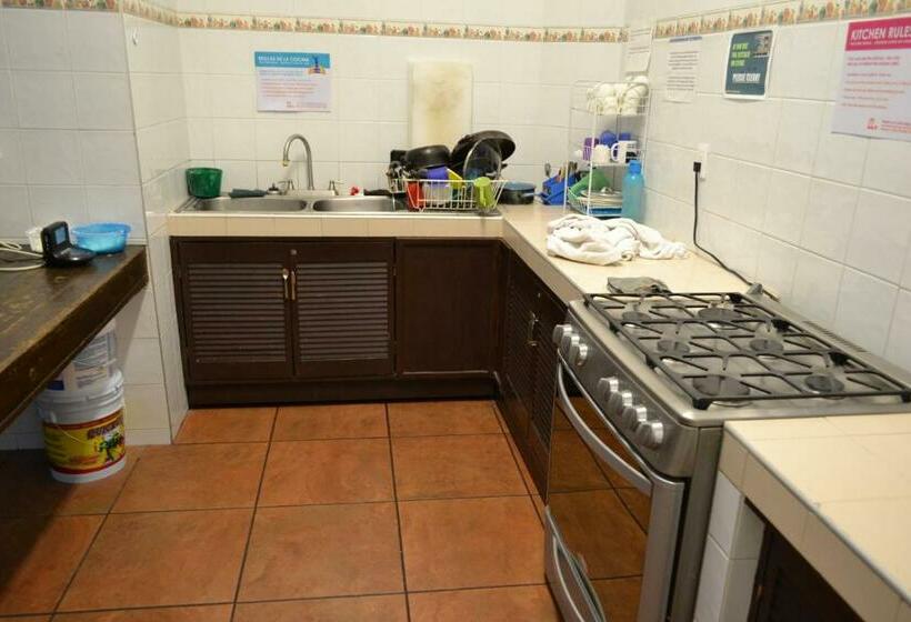 Кровать в Общей Комнате, Mexico City Hostel