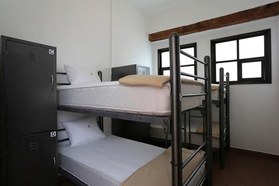 Кровать в Общей Комнате, Mexico City Hostel