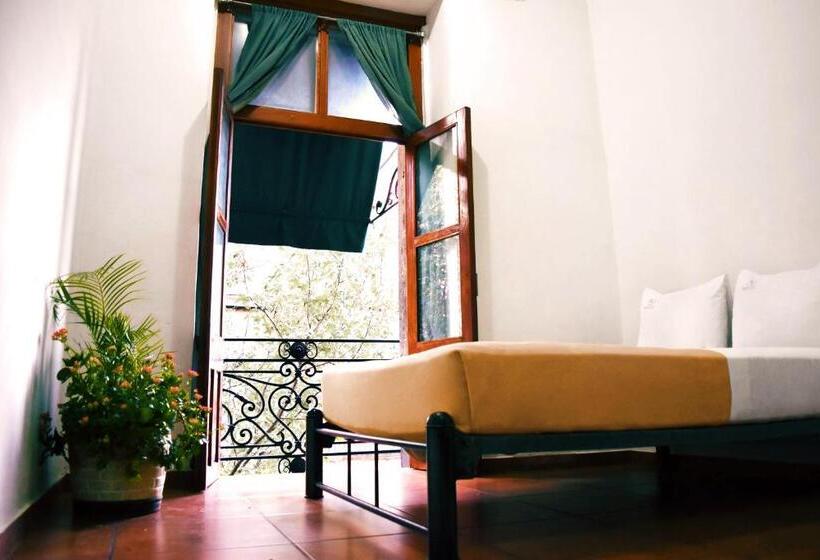 スタンダードシティビュールーム, Mexico City Hostel