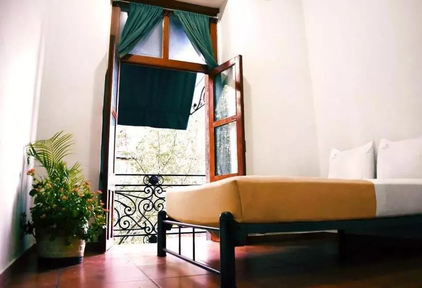 スタンダードシティビュールーム, Mexico City Hostel