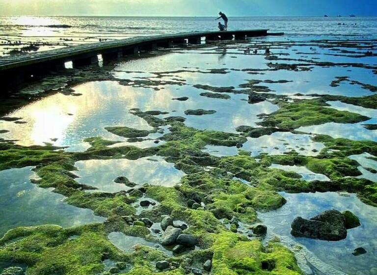 اتاق استاندارد چهار تخته, Sanasai Inn