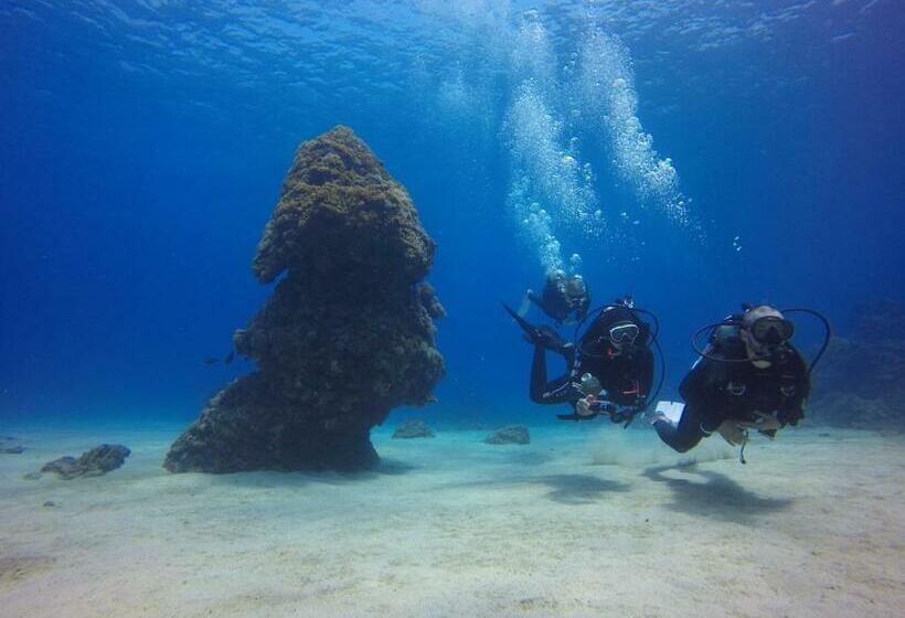 اتاق استاندارد چهار تخته, Sanasai Inn