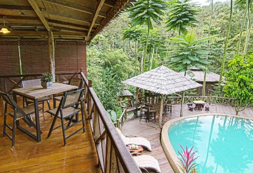 Номер Стандарт, Fig Tree Hills Resort