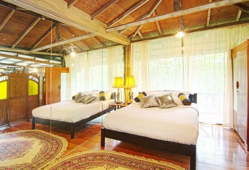 スタンダードルーム, Fig Tree Hills Resort