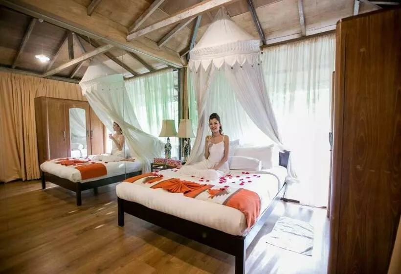 スタンダードルーム, Fig Tree Hills Resort
