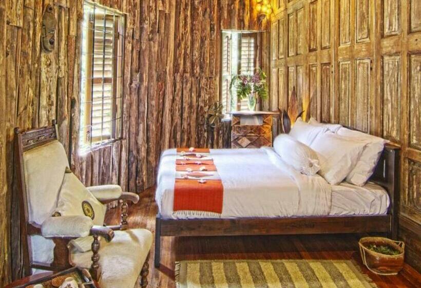 Pokój Standard, Fig Tree Hills Resort