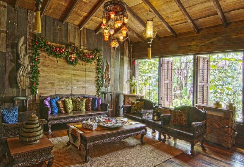 Standart Oda, Fig Tree Hills Resort