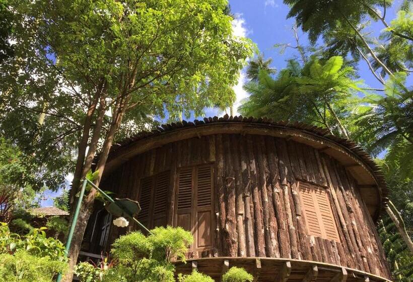 Номер Стандарт, Fig Tree Hills Resort