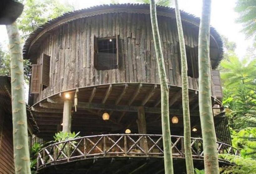 Pokój Standard, Fig Tree Hills Resort