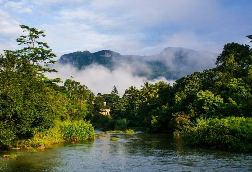 غرفة قياسية, Okwin Resort