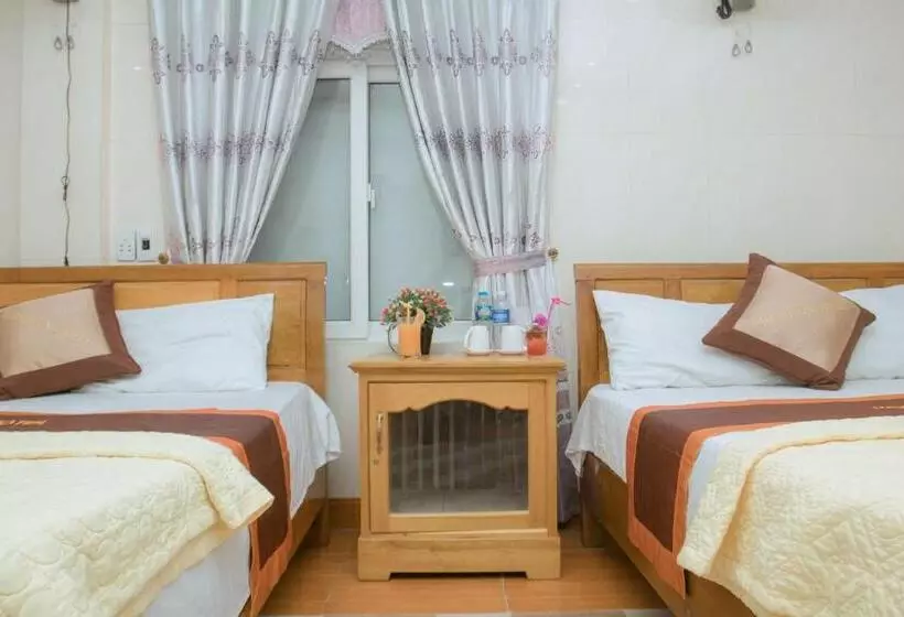 اتاق استاندارد, Hoa Phuong Phong Nha