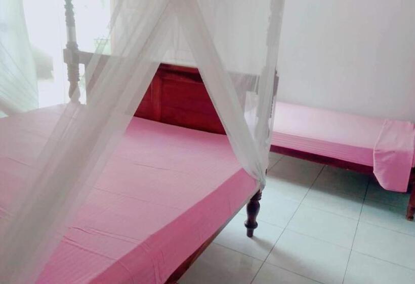 이코노미 트리플 룸, Sounds Of Nature Mini