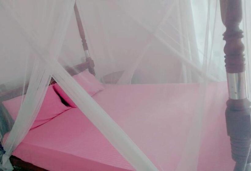 이코노미 트리플 룸, Sounds Of Nature Mini