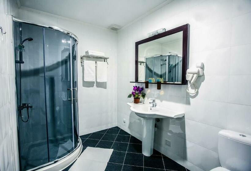 اتاق لوکس, Aria Hotel Chisinau