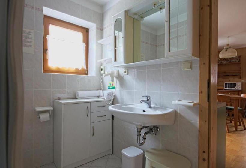 Апартаменты 1 Спальня, Bachlaufen Haus