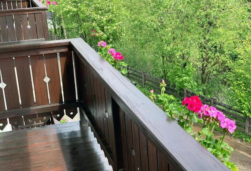 דירת חדר, Bachlaufen Haus