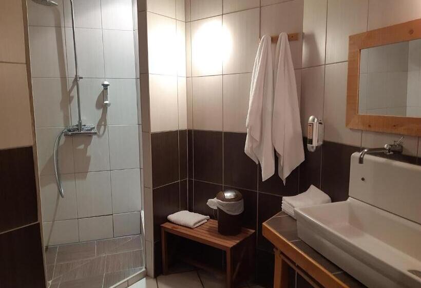 Номер Стандарт, Logis Domaine De Peyrolade